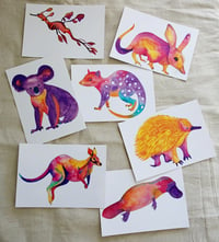 Postcard Set - Australian Animals
