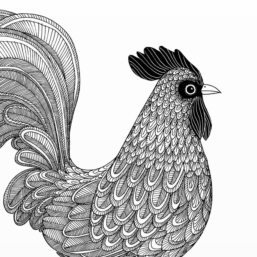 Print: Rooster