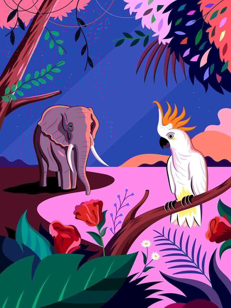 Image of Paradise Found