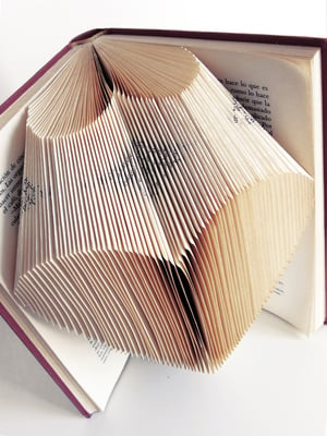 Image of Libro corazón plano