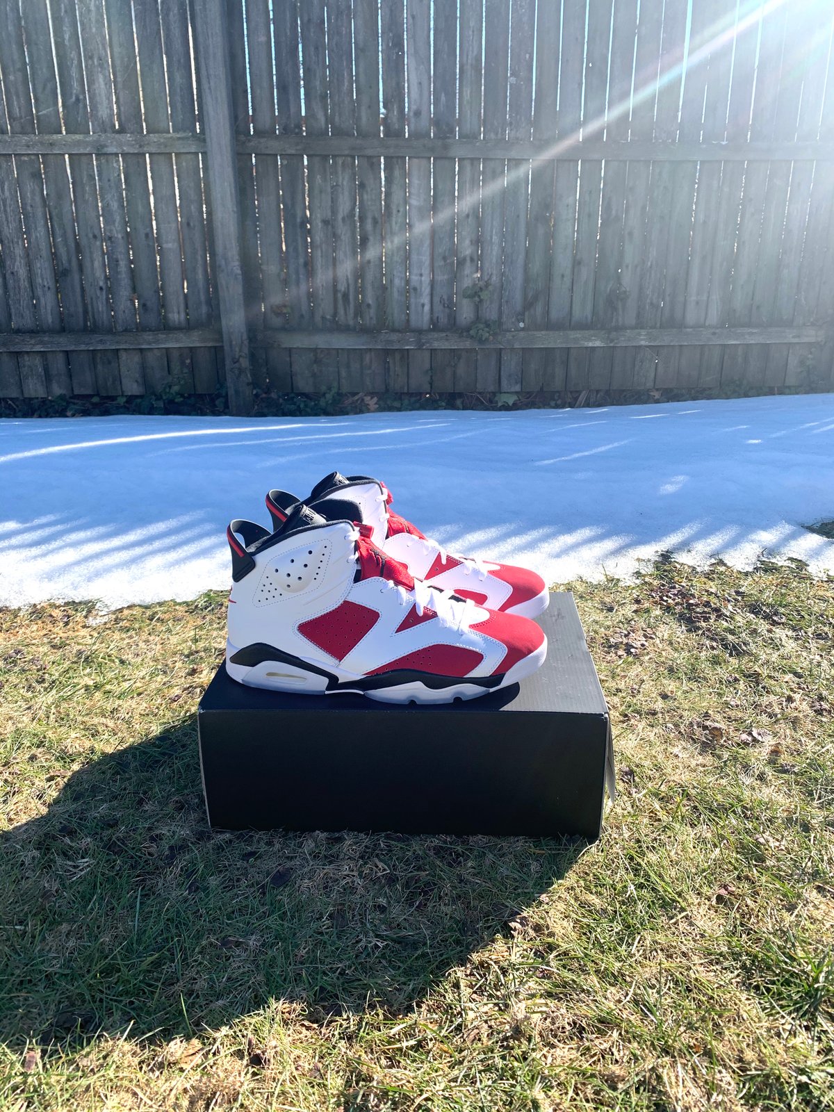 carmine 6s
