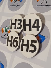Image 1 of H Block Badge Set. 