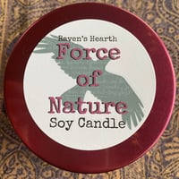 Image 3 of FORCE OF NATURE Soy Candle