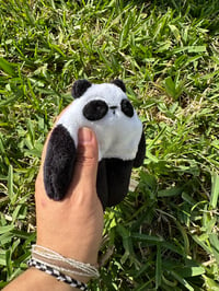 Image 2 of Mini Panda bloog