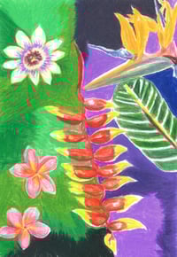Kauai Florescense Print