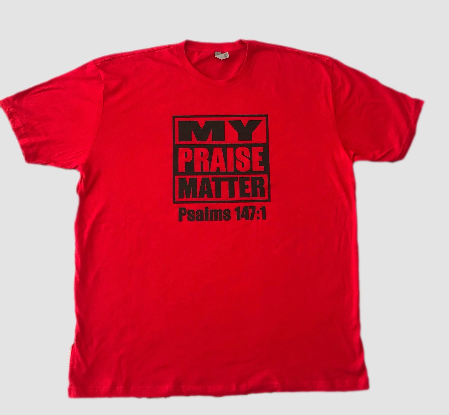 Image of My Praise Matter t-shirt
