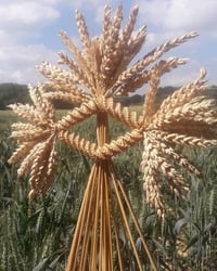 Image 2 of The Harvest