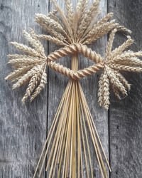 Image 1 of The Harvest