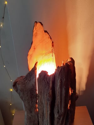 Image of Driftwood Chunky Lamp Made to order.