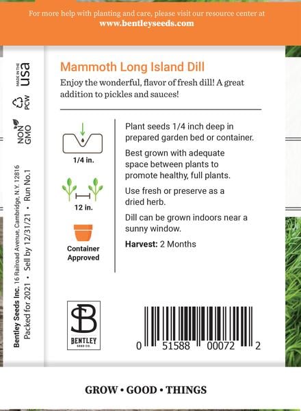 SEEDS - DILL: MAMMOTH LONG ISLAND