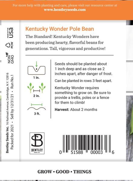 SEEDS - BEAN: POLE BEAN / KENTUCKY WONDERS