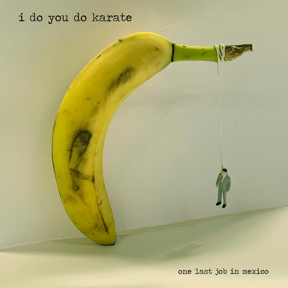 Image of I DO YOU DO KARATE :: One Last Job In Mexico LP