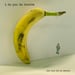 Image of I DO YOU DO KARATE :: One Last Job In Mexico LP