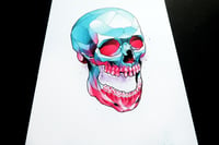 Image 2 of Skull A4