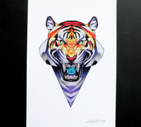 Image 3 of Tiger rage A4