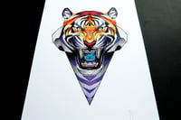 Image 1 of Tiger rage A4