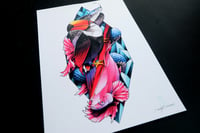 Image 1 of Toucan A4