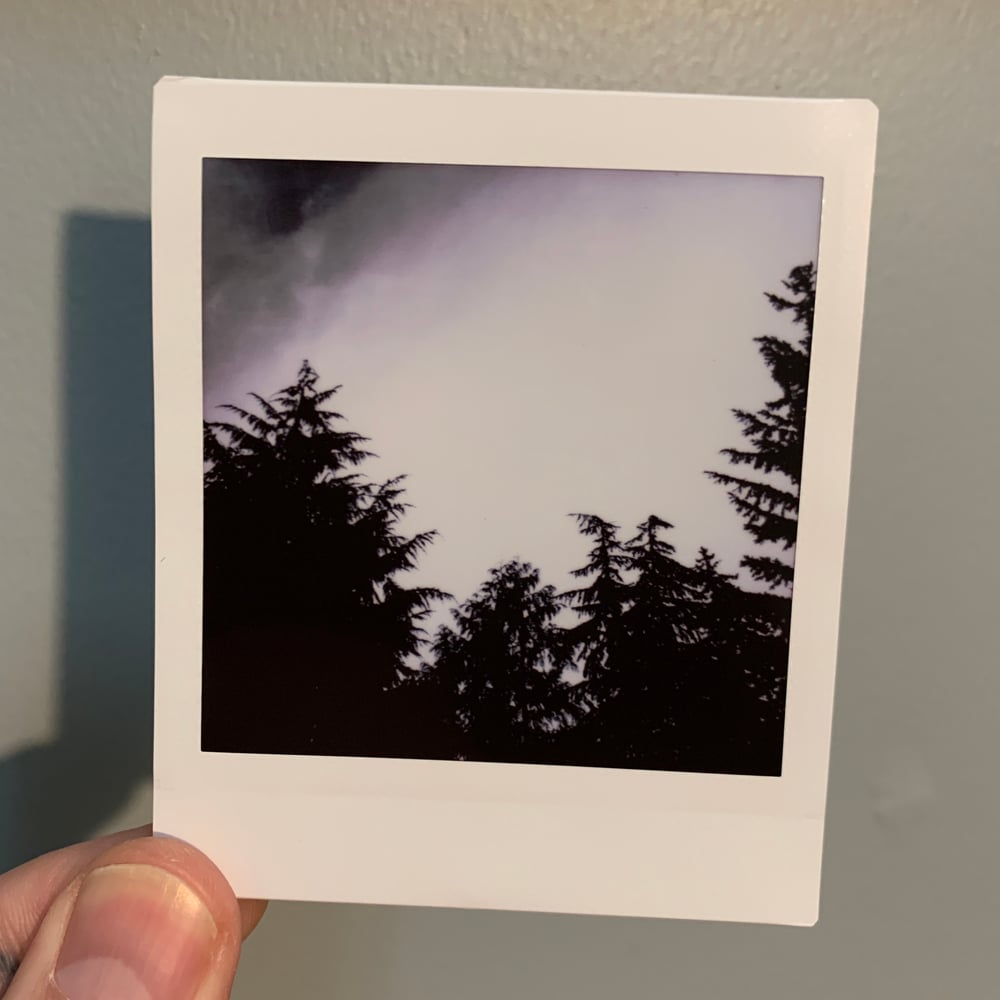 Image of Tree Tops, mini print