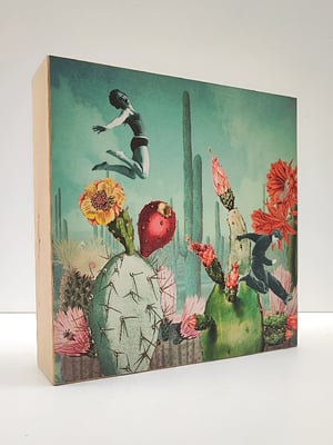 Image of Saltadores de Cactus.