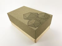 Image 1 of The Radiant Republic