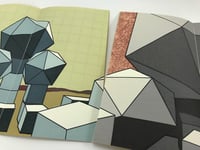 Image 4 of The Radiant Republic