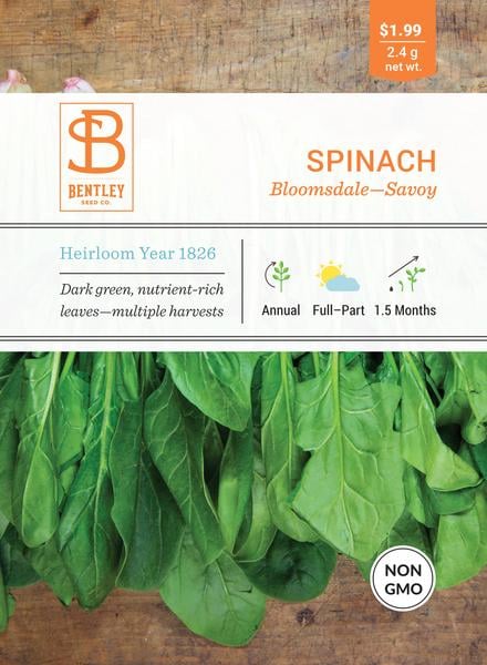SEEDS - SPINACH: BLOOMSDALE