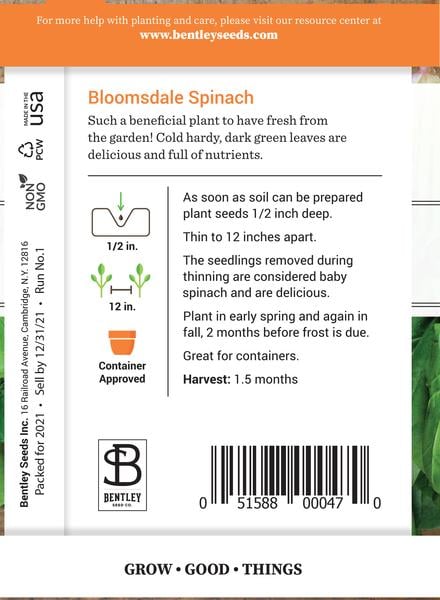 SEEDS - SPINACH: BLOOMSDALE