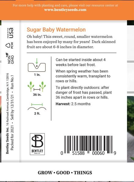 SEEDS - WATERMELON: SUGAR BABY