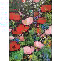Poppy Field