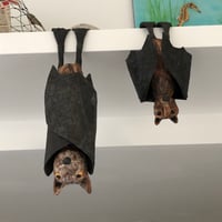 Image 1 of A pair of Fruit Bats