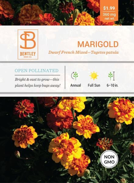 SEEDS - MARIGOLD: DWARF FRENCH, MIXED COLORS (EDIBLE)