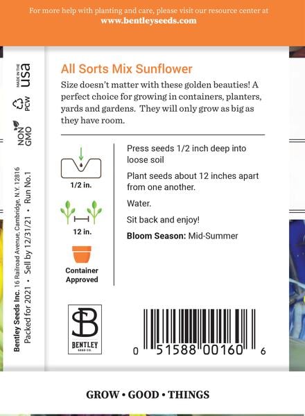 SEEDS - SUNFLOWER: PICKED FOR CONTAINERS