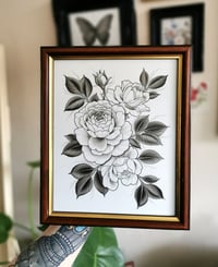 English Rose Painting