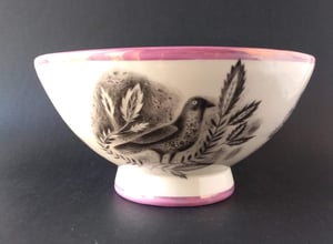 World of Wonders bowl