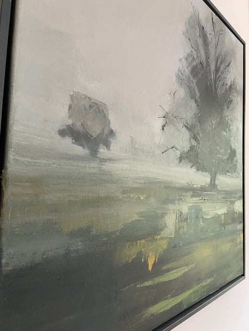 Image of Portrait of a Tree in Mist