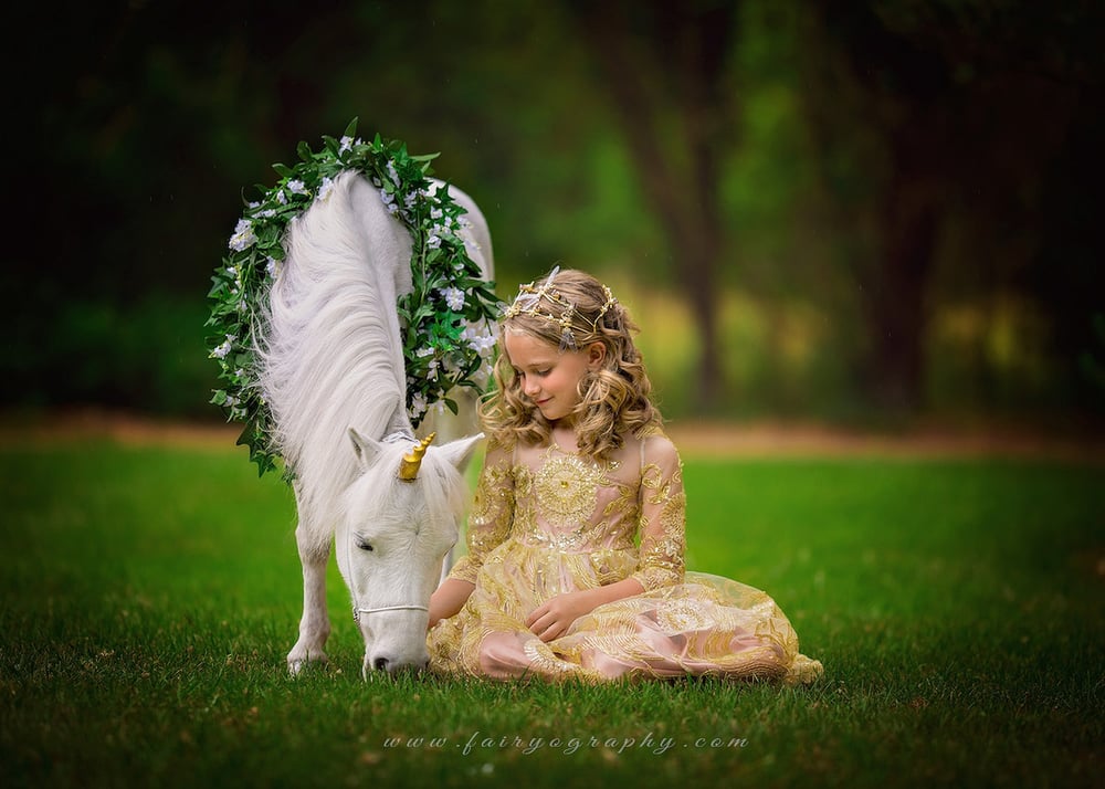 Image of Unicorn Sessions