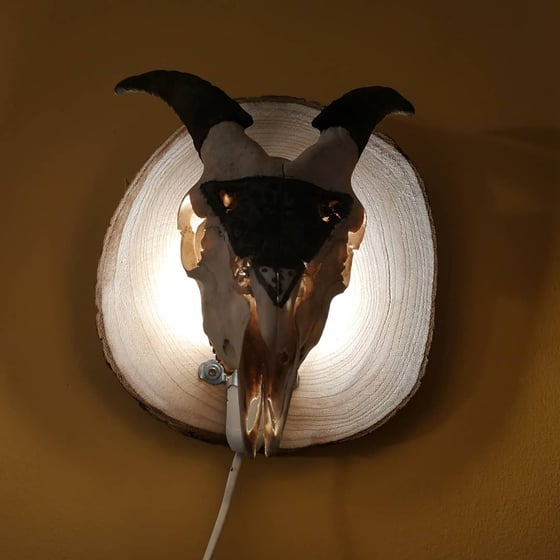 Image of The Devil's Blood goat skull lamp