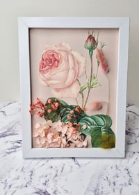 Image 2 of Brisbane 3D Preserved Flower and Collage Picture 