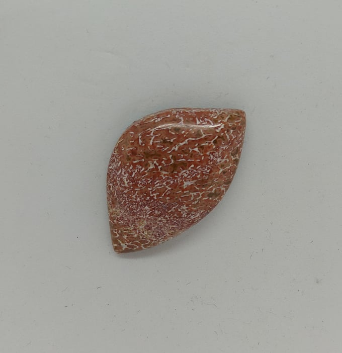Image of Fossilized Dinosaur Bone Magnetic Pin #21-465