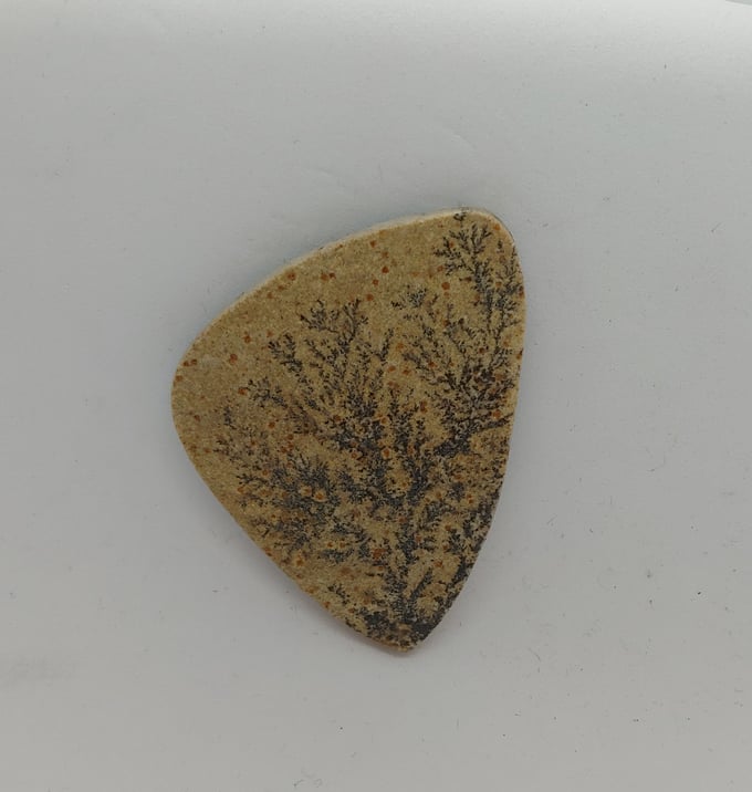 Image of Fern Dendrite Magnetic Pin #21-469