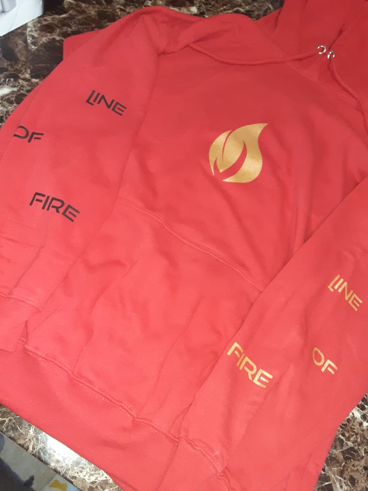 Image of "Winners Collection" Hoodie (Gold/Sliver Font)