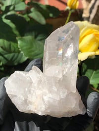 Image 1 of CLEAR QUARTZ NATURAL CLUSTER (COLLECTOR'S ITEM) , BRAZIL 