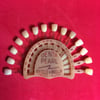 DentaPearl Dental Color Scale