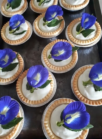 Image of Fresh Butterfly Pea Flowers