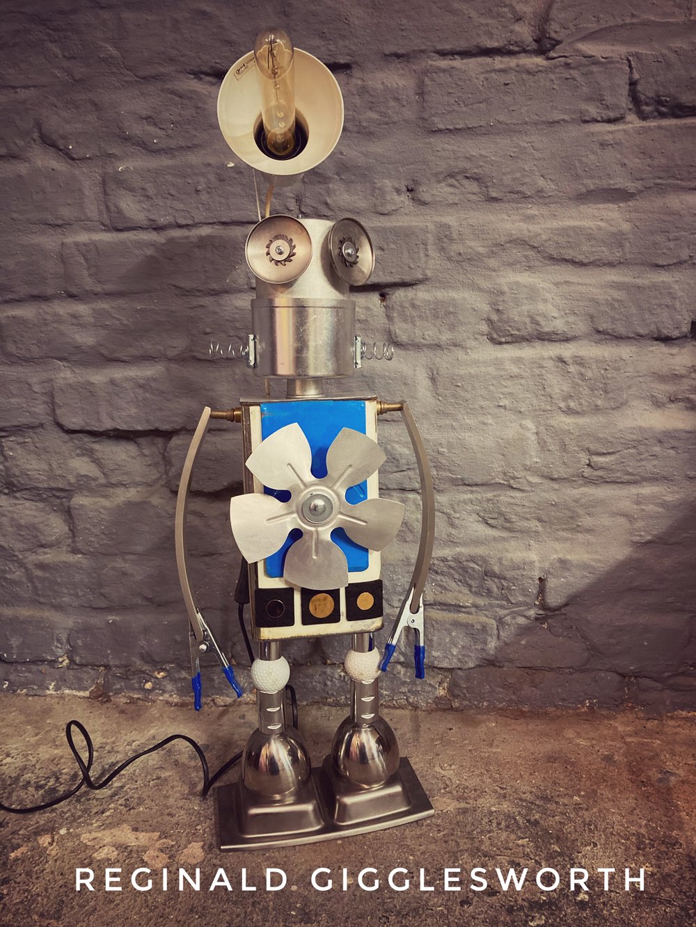 Image of Reginald Gigglesworth