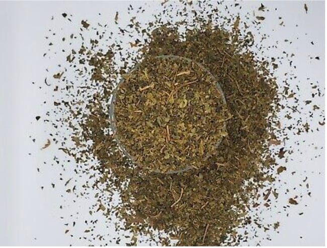 Papaya “ PAW PAW” Leaf