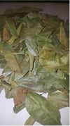 Soursop Leaves / Graviola  