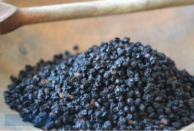 Elderberry 