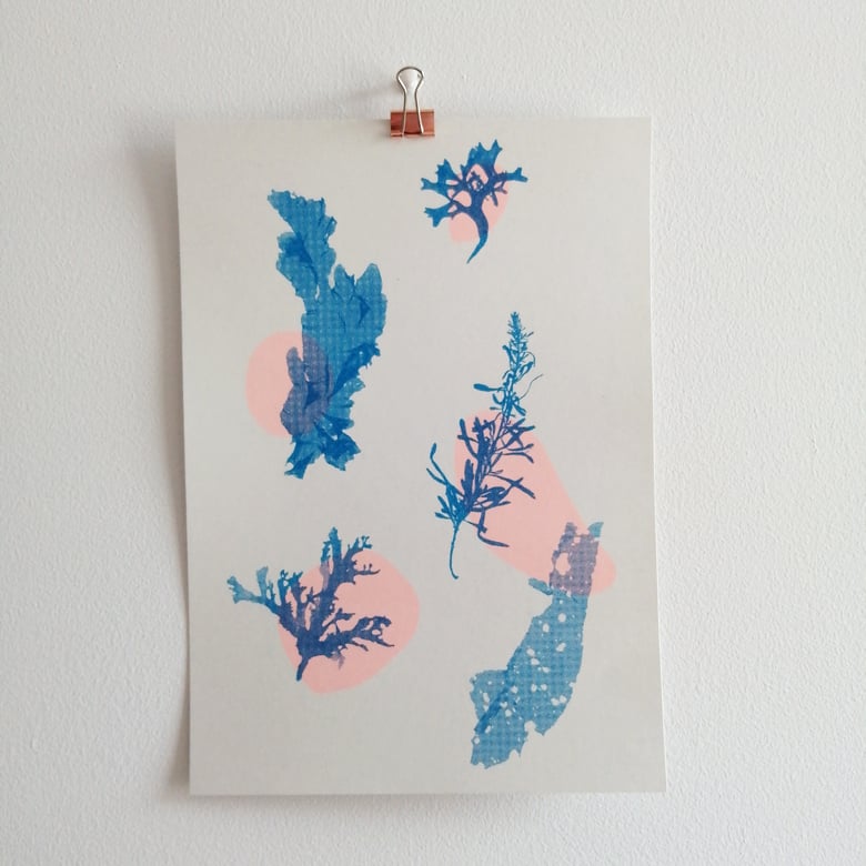 Image of Seaweed Risograph Print 