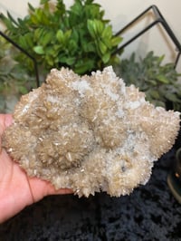 Image 1 of Dog Tooth Calcite